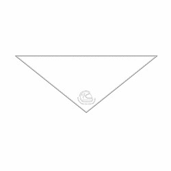 White scarf with the event logo